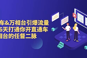 直通车 万相台引爆流量班,6天打通你开直通车·万相台的任督 二脉