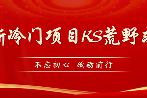 KS荒野求生玩法比较冷门好做(教程详细 带素材)