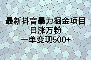最火热的抖音暴力掘金项目,日涨万粉,多种变现方式,一单变现可达500
