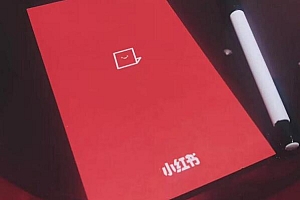 小红书笔记不被收录,如何解决?
