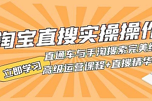 淘宝直搜实操操作 直通车与手淘搜索完美结合(高级运营课程 直搜精华实战)