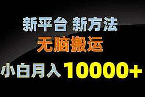 新平台新方法,无脑搬运,月赚10000+,小白轻松上手不动脑