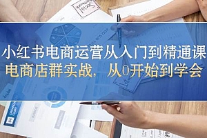 小红书电商运营从入门到精通课,电商店群实战,从0开始到学会