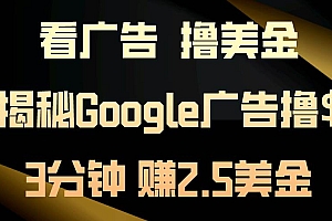 看广告,撸美金!3分钟赚2.5美金!日入200美金不是梦!揭秘Google广告…