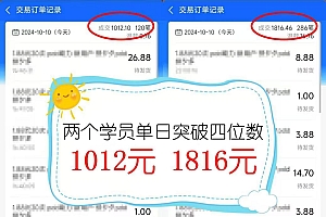 2024年闲鱼虚拟资产 日入2000+ 利用人性 让客户上瘾 不停地复购