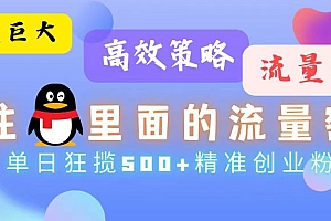 流量蓝海,抓住QQ里面的流量密码!高效策略,流量巨大,实操单日狂揽500+精准创业粉