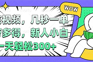 视频审核项目,几秒一单,多劳多得,新人小白一天轻松300+