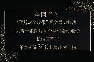 小红书,“预算 4980 带我飞” 的神奇图片引流法,堪称涨粉核武器!只需一张图,就能单条笔记凭借此方法,轻松引流 300 + 精准创业粉!