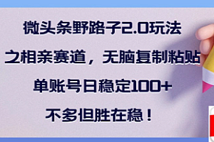 全网首发微头条野路子2.0玩法之相亲赛道,无脑搬砖复制粘贴,单账号日稳定300+保姆级教程