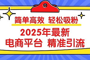 2025年最新电商平台精准引流 简单高效 轻松吸粉