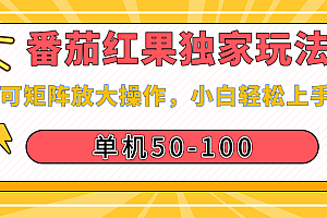 番茄红果独家玩法,单机50-100,可矩阵放大操作,小白轻松上手!