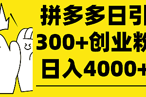 拼多多日引300+创业粉 日入4000+