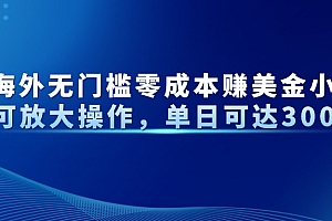 最新海外无门槛美金小众项目可放大操作,单日可达300+