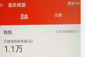 汽水音乐人挂机2.0(附赠网易云音乐人挂机)单账号月入6000+,可矩阵