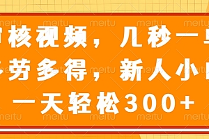 视频审核员,几秒一单,多劳多得,新人小白一天轻松300+