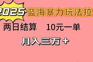 蓝海暴力拉新项目,10元一单,两日结算,月入3w➕