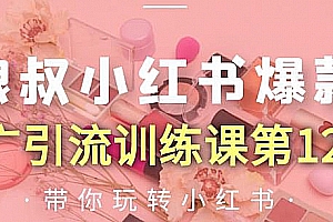 狼叔小红书爆款推广引流训练课第12期,手把手带你玩转小红书