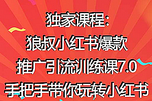 狼叔小红书爆款推广引流训练课7.0,手把手带你玩转小红书