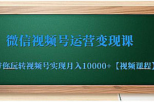 微信视频号运营变现课,带你玩转视频号实现月入10000+【视频课程】