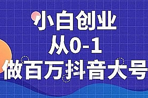 蛋解创业:小白创业从0-1做百万抖音大号,短视频带货引流必备课