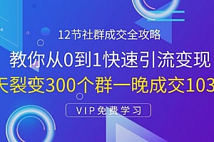 12节社群成交全攻略:从0到1快速引流变现,3天裂变300个群一晚成交103万