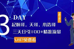 起航哥,天哥,小浩哥,三天日引100+精准流量实战课程分享