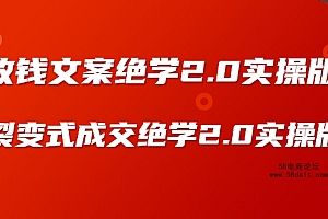某社群内部VIP课程《收钱文案绝学2.0实操版》+《裂变式成交绝学2.0实操版》