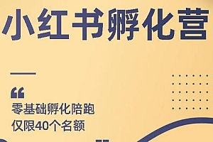 勇哥小红书撸金快速起量项目:教你如何快速起号获得曝光,做到月躺赚在3000+