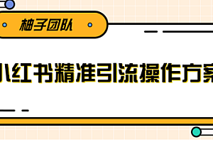 落地实操的小红书精准引流操作方案,一步步执行轻松爆流上万