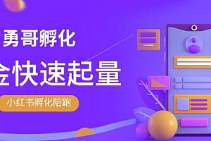 勇哥·小红书撸金快速起量陪跑孵化营,教你在小红书平台实现副业的睡后收入