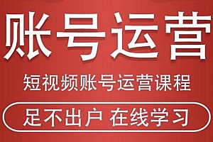 短视频账号运营课程:从话术到短视频运营再到直播带货全流程,新人快速入门