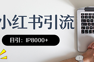 小红书精准引流,日引IP8000多