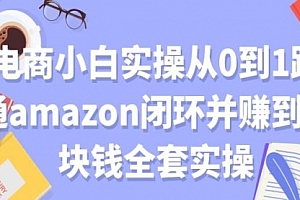 电商小白实操从0到1跑通AMAZON闭环并赚到一块钱全套实操