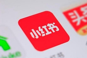 【小红书】2021 年小红书策划运营方案与报告
