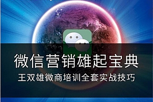 微信营销雄起宝典-王双雄微商培训全套视频教程(共9课)