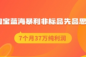 淘宝蓝海暴利非标品先品思路,7个月37万纯利润,压箱干货分享