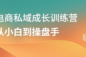 电商私域成长训练营,从小白到操盘手