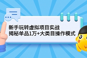 新手玩转虚拟项目实战,揭秘单品1万+大类目操作模式
