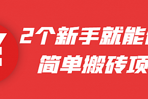2个新手就能做的简单搬砖项目,没技术含量