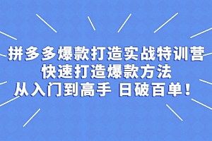拼多多从入门到高手,爆款实战训练营日破百单