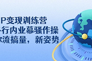 IP变现训练营:N多行内业幕骚作操,教你流搞量
