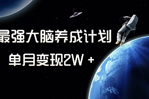冷门虚拟项目,最强大脑养成计划,一个月变现2W+