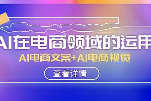 AI-在电商领域的运用线上课,AI电商文案 AI电商视觉(14节课)