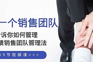 给你一个销售团队,告诉你如何管理,高业绩销售团队管理法(89节课)