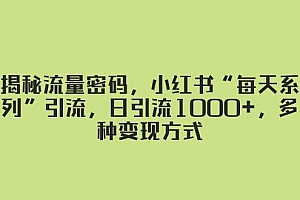 揭秘流量密码,小红书“每天系列”引流,日引流1000 ,多种变现方式