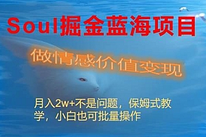 Soul掘金蓝海项目细分赛道,做情感价值变现,月入2w 不是问题