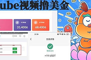 playtube撸美金项目,单日收益30美金 工作室可批量搞