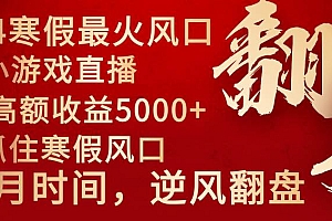 2024年最火寒假风口项目 小游戏直播 单场收益5000 抓住风口 一个月直接提车