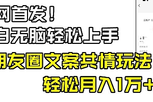 小白轻松无脑上手,朋友圈共情文案玩法,月入1W+