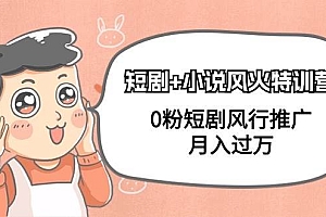 短剧+小说风火特训营,0粉短剧风行推广,月入过万(102节课)
